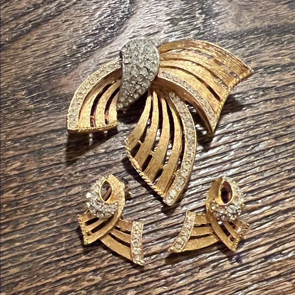 BSK Stunning Brooch & clip on earrings set